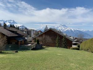 a house on a lawn with mountains in the background at Apartment La Berciére 6 in Villars-sur-Ollon
