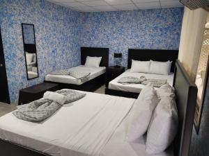 Кровать или кровати в номере Hotel Palmera Real Hot Springs