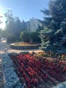 un giardino con fiori rossi in un parco di Fontan a Čornomors'k