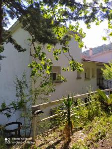 a white building with trees in front of it at Casa en plena naturaleza. in Valdecañas de Tajo