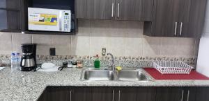 a kitchen counter with a sink and a microwave at Apartment-Suite Guatemala City in Guatemala