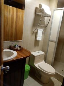 a bathroom with a toilet and a sink at Hostal La Maison Canadiense in San Ramón