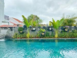a swimming pool in front of a wall with plants at Hoi An Cabbage Garden in Hoi An