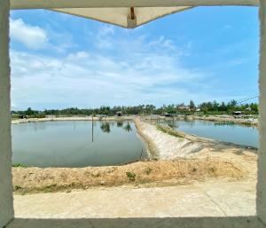 Phong cảnh thiên nhiên gần chỗ nghỉ nhà dân