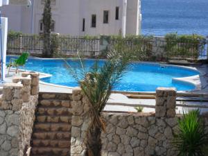The swimming pool at or close to Villa Sharm Family Vacation