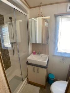 y baño con lavabo y ducha. en The Grockles Retreat en Dawlish