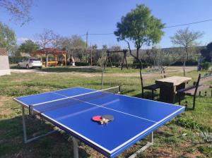 Stolný tenis v ubytovaní Kuća za odmor Lucija alebo v jeho okolí