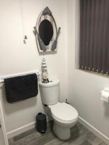 a bathroom with a white toilet and a mirror at Driftwood Apartment - Skegness in Skegness