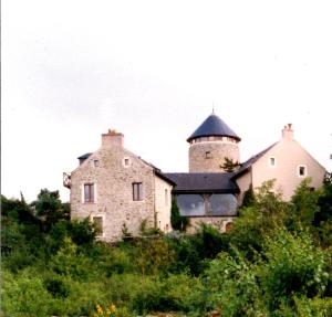 una vecchia casa in pietra con una torretta su una collina di La Tour du Moulin Géant a Rochefort-sur-Loire