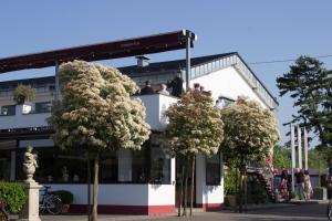 un grupo de árboles frente a un edificio en Hotel Haus Berger en Colonia