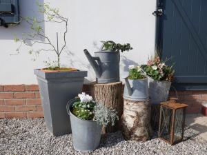 een groep potplanten in emmers naast een deur bij Opale des Caps in Leubringhen