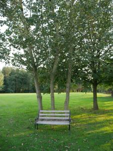 a park bench sitting under a tree in a field at Opale des Caps in Leubringhen +2 photos
