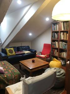 uma sala de estar com um sofá e uma estante de livros em Villa sainte claire em Amélie-les-Bains-Palalda
