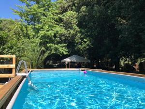 ein großer blauer Pool mit Bäumen im Hintergrund in der Unterkunft Villa Berghella in Montesilvano