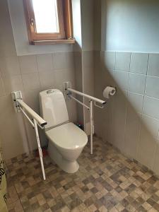 a bathroom with a toilet with two bars on it at Kasteheina kodu in Voka