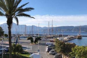 einen Yachthafen mit Booten im Wasser und einer Palme in der Unterkunft Sea Front in Agios Nikolaos