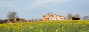 a field of yellow flowers in front of a house at Mas Teixidor, Masia entre Girona y la Costa Brava in Caldes de Malavella