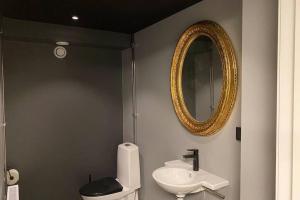 a bathroom with a toilet and a sink and a mirror at Naturnära boende i vackra Järvsö - H in Järvsö