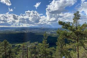 a view from the top of a mountain with trees at Naturnära boende i vackra Järvsö - H in Järvsö