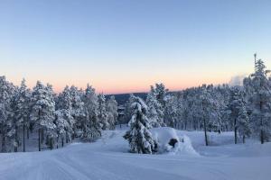 a road covered in snow next to a forest of trees at Naturnära boende i vackra Järvsö - H in Järvsö