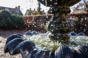 un primo piano di una fontana di Chestnut Grove Bed And Breakfast a Norwich