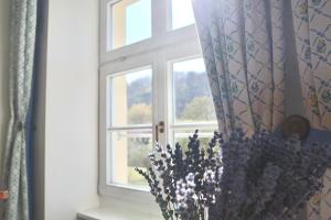 Nespecifikovaný výhled na hory nebo výhled na hory při pohledu z hotelu