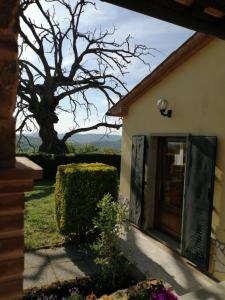 drzwi do domu z drzewem w tle w obiekcie Casa Gaia w mieście Poggio Murella