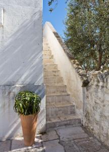 un escalier avec une plante en pot à côté d'un mur dans l'établissement Masseria Cimino, à Savelletri di Fasano