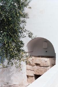 un horno de piedra en una pared con un árbol en Masseria Cimino en Savelletri di Fasano