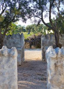 Zahrada ubytování Masseria Cimino