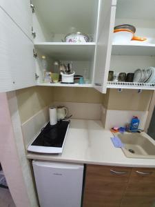 a small kitchen with a sink and a stove at Light room Затока in Zatoka