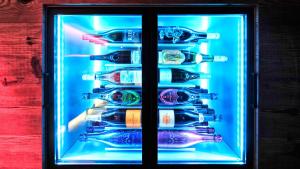 a refrigerator filled with lots of wine bottles at Alps Lodge in Fiss