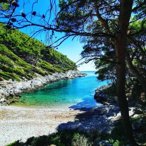 - une vue sur l'océan depuis la plage dans l'établissement Villa Radulj, à Kozarica