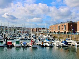 eine Reihe von Booten liegen in einem Hafen vor Anker in der Unterkunft Orion House - Luxury Apartment overlooking Milford Marina, Pembrokeshire in Milford Haven