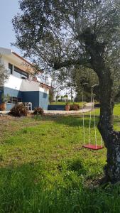a tree with a swing in a field next to a house at Vila Valmonte in Monte da Pedra Alva