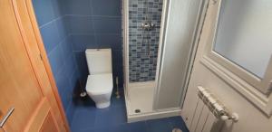 ein kleines Badezimmer mit Toilette und Dusche in der Unterkunft HOLIDAY HOMES by del abuelo VEGADEO in Vegadeo + 18 Fotos