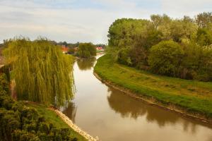 a river with a couple of trees in it at Hotel Panorama in Mosonmagyaróvár