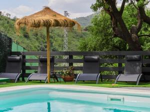 a pool with a straw umbrella and chairs and a table at Cubo's Finca El Nogal de los Montes de Malaga in Málaga