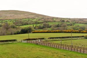 a green field with a fence and animals in it at Glenshane Country House in Maghera
