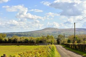 a dirt road with a mountain in the distance at Glenshane Country House in Maghera
