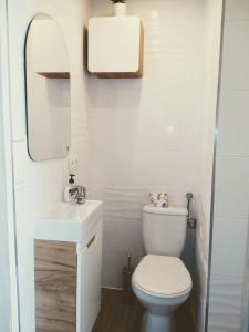 ein kleines Bad mit WC und Waschbecken in der Unterkunft Studio Centrum - 1 Maja 16 in Zabrze
