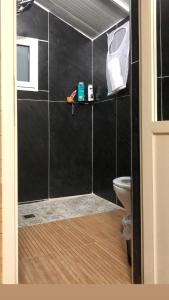 een badkamer met een douche en een toilet bij צימר סאפי in Nimrod