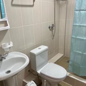 a bathroom with a toilet and a sink and a shower at Гостевой дом «Менделеев» in Yarovoy