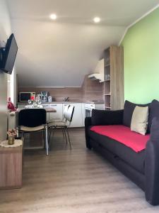 ein Wohnzimmer mit einem Sofa und einer Küche in der Unterkunft Apartments Sončnica in Moravske-Toplice