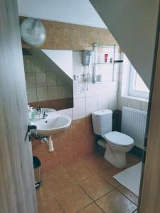 a bathroom with a toilet and a sink at Penzion Janoušek Motorsport Český Krumlov in Přísečná