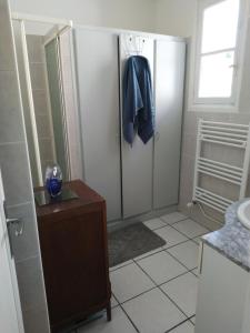 a bathroom with a shower with a sink and a mirror at Chambre Marguerite, B&B au 1er- Villa Chaumonty in Périgueux +24 photos