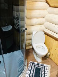 y baño con aseo, ducha y lavamanos. en У ВІТИ котедж4 en Synevyrsʼka Polyana