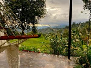 サン・フランシスコにあるCabaña Encanto de Lunaの緑地の景色を望むハンモック