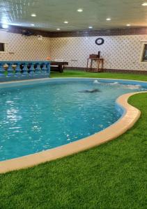 a swimming pool with a dolphin in the water at Al Moltaqua Chalet in Taif