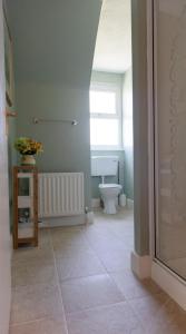 a bathroom with a toilet and a sink at Barrymor Twin, Family and Double Room in Ballyvaughan